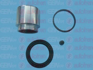 Ремкомплект AUTOFREN SEINSA D41807C