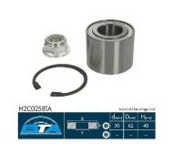 Комплект подшипника BTA H2C025BTA