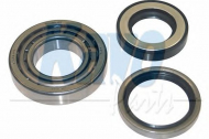Комплект подшипника KAVO PARTS WBK-5508