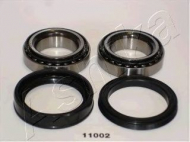 Комплект подшипника ASHIKA 44-11002