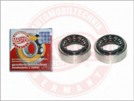 Ремкомплект MASTER-SPORT 2101/P-SET/2/-MS