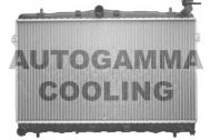 Теплообменник AUTOGAMMA 101443