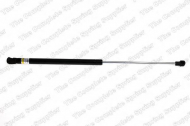 Газовая пружина LESJÖFORS 8095002