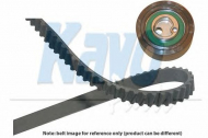 Ременный комплект KAVO PARTS DKT-8508