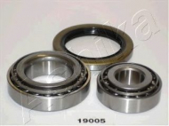 Комплект подшипника ASHIKA 44-19005