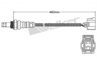 Датчик WALKER PRODUCTS 250-24259
