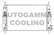 Теплообменник AUTOGAMMA 100371