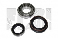 Комплект подшипника CALIBER RC1341