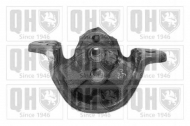 Подвеска QUINTON HAZELL EM1900