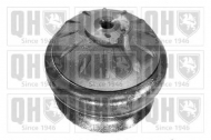 Подвеска QUINTON HAZELL EM3415