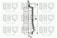 Комплект пыльника QUINTON HAZELL QG1362