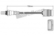 Датчик WALKER PRODUCTS 250-24991