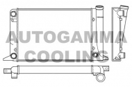 Теплообменник AUTOGAMMA 100040