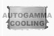 Теплообменник AUTOGAMMA 100060