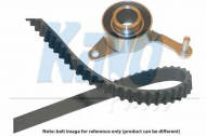 Ременный комплект KAVO PARTS DKT-3504
