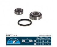 Комплект подшипника BTA H2R017BTA