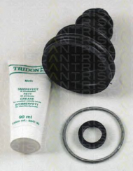 Комплект пыльника TRISCAN 8540 25901