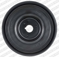 Ременный шкив SNR DPF355.25