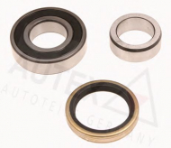 Комплект подшипника AUTEX 802925