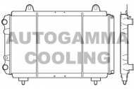 Теплообменник AUTOGAMMA 100035