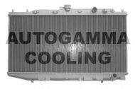 Теплообменник AUTOGAMMA 100413