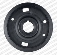 Ременный шкив SNR DPF359.28