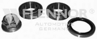 Комплект подшипника FLENNOR FR911771
