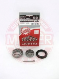 Комплект подшипника MASTER-SPORT 504-SET-MS