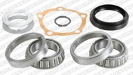 Комплект подшипника SNR R180.01