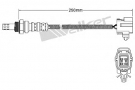 Датчик WALKER PRODUCTS 250-24978