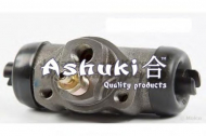 Цилиндр ASHUKI C025-01