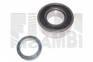 Комплект подшипника CALIBER RC7822