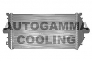Теплообменник AUTOGAMMA 102019
