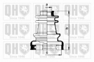 Комплект пыльника QUINTON HAZELL QJB273
