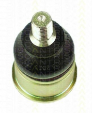 Шарнир TRISCAN 8500 17502