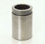 Поршень TRISCAN 8170 233311