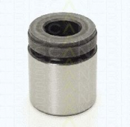 Поршень TRISCAN 8170 234034