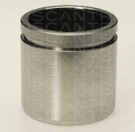 Поршень TRISCAN 8170 234509
