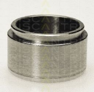 Поршень TRISCAN 8170 235408