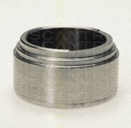 Поршень TRISCAN 8170 235703