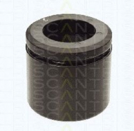 Поршень TRISCAN 8170 236036