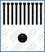 Комплект болтов AJUSA 81005900
