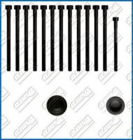 Комплект болтов AJUSA 81043400