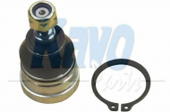 Шарнир KAVO PARTS SBJ-5501