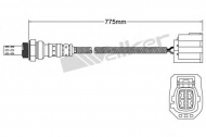 Датчик WALKER PRODUCTS 250-24718
