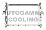 Теплообменник AUTOGAMMA 100017