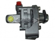 Насос SPIDAN 54075