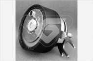 Ролик HUTCHINSON HTG 160
