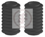 Комплект пыльника AUTOFREN SEINSA D9108C