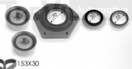 Ременный комплект SK SK3196DS1